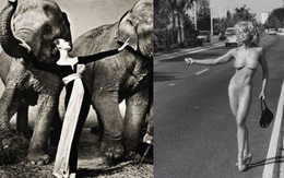 Những bức ảnh thời trang kinh điển và đắt giá của thế kỷ 20, có bức được định giá tới 6,8 tỷ đồng