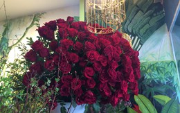 Đại gia Hà Nội chi gần 20 triệu mua 300 bông hồng ngoại tặng bạn gái dịp 8/3