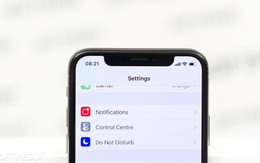Apple có thể loại bỏ "tai thỏ" trên iPhone 2019?