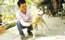 Chàng trai 8X nuôi chó Phú Quốc kiếm hàng trăm triệu đồng mỗi năm