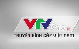 VTV Cab bị huỷ bán đấu giá cổ phần vì sao?​