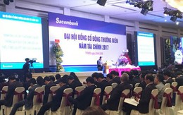 ĐHĐCĐ Sacombank: Ông Dương Công Minh hứa sẽ ra đi nếu sau 5 năm không hoàn thành tái cơ cấu