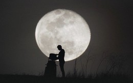 Đoạn phim này khiến tôi phải ngước lên nhìn ngắm vẻ đẹp của mặt trăng