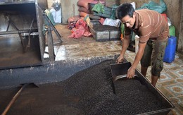 (SỐC) Phát hiện nhiều mẫu cà phê bột không có… cà phê ở Đắk Nông!