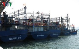 6 chủ tàu vỏ thép ở Bình Định thống nhất mức bồi thường