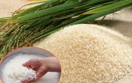 Nhận biết gạo chứa hoá chất bảo quản hóa học