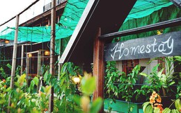 Homestay, Bed & Breakfast, Hostel: Đi du lịch nhiều nhưng bạn đã hiểu hết các khái niệm này chưa?