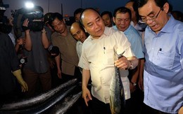 Thủ tướng mua cá của ngư dân Quảng Trị