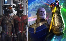Trailer mới của "Người Kiến 2" hé lộ tình tiết hậu Avengers: Cuộc chiến Vô cực