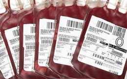 Huy động “ngân hàng máu sống” cứu người phụ nữ có nhóm máu siêu hiếm gặp