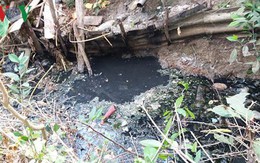 Người dân Tiền Giang “kêu cứu” vì dòng kênh tắc nghẽn, ô nhiễm