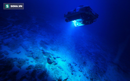 Bí ẩn sinh vật tại đáy biển Bermuda: Giới khoa học chưa từng thấy bao giờ