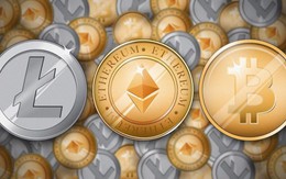 Giá Bitcoin hôm nay 13/6: Tụt khỏi ngưỡng 6.500 USD, nhà đầu tư hoang mang