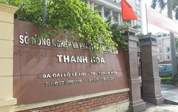 “Chân dài” được bổ nhiệm thần tốc, Chủ tịch Thanh Hóa: Sẽ yêu cầu xử lý theo quy định