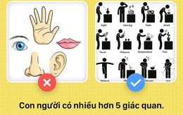 6 điều hàng ngày bạn đang tin sái cổ hóa ra đều là... hư cấu