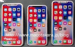 Nóng: Bộ ba iPhone mới của Apple trong năm 2018 đã lộ diện