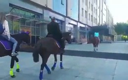 Cưỡi ngựa đi làm phản đối giá xăng tăng, nghị sỹ Nga bị cảnh sát tạm giữ