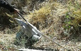 Máy bay do thám Israel rơi xuống vùng triển khai vũ khí của Syria