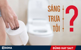 Có nên đại tiện sau khi ngủ dậy 30 phút: Chuyên gia tiêu hóa giải thích, ai cũng nên tập