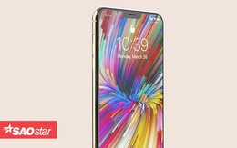 Loạt hình ảnh đẹp nhức mắt của iPhone 2018 có thể khiến người hâm mộ Apple đứng ngồi không yên