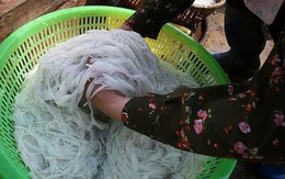 Cá ngần sông Đà giá 300.000 đồng/kg gây “sốt” thị trường