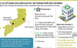 Toàn cảnh tình hình cúm A/H1N1 tại Thành phố Hồ Chí Minh