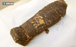 Chụp cắt lớp xác ướp "chim ưng" Ai Cập bỗng nhiên phát hiện bất ngờ lớn