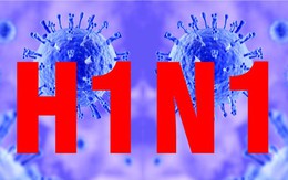 Ổ dịch cúm A/H1N1 lớn chưa từng có khiến BV Từ Dũ báo động: Hiểu đúng về căn bệnh