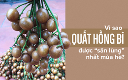 Quất hồng bì: "Vua" trái cây mùa hè được săn lùng vì sở hữu những chất dinh dưỡng hiếm có