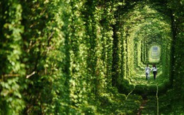 Ghé thăm “đường hầm tình yêu” đẹp ma mị ở Ukraine, nơi những cặp đôi một lần lạc bước sẽ chẳng muốn quay về