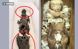 Sau hơn 1 thế kỷ chìm trong bí mật, "xác ướp hai đầu" xuất hiện, hé lộ câu chuyện kỳ lạ