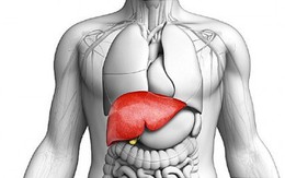 Tăng men gan: Cẩn trọng những căn bệnh này đang "đục khoét" sức khỏe
