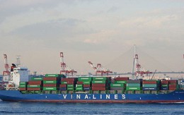 Báo lãi trước IPO, Vinalines có hấp dẫn nhà đầu tư?