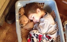 15 bức ảnh cho thấy cuộc sống dù phức tạp nhưng ngoài kia vẫn luôn tồn tại tình yêu và lòng tốt