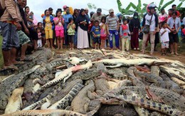 Đám đông tàn sát gần 300 con cá sấu báo thù 1 mạng người
