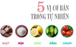Umami- Câu chuyện về vị ngon trong ẩm thực