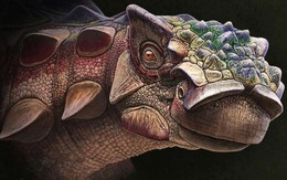 Con khủng long "full giáp" mới được tìm thấy này đã tiết lộ một sự thật rất thú vị