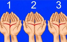 Đặt hai bàn tay lại gần nhau như thế này đi, bạn sẽ có những khám phá đầy bất ngờ về con đường tình yêu và hôn nhân của mình