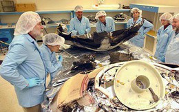 4 sai lầm này nhỏ xíu nhưng đã khiến NASA gặp thảm họa, thiệt hại cả tỷ đô