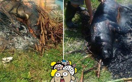 Góc ẩm thực: Xuất hiện món "lợn quay bóng đêm" phá kỷ lục hạng mục đồ ăn quá lửa trên MXH
