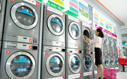 Tại sao LG chọn Cleanpro là nhà phân phối độc quyền máy giặt công nghiệp tại Việt Nam
