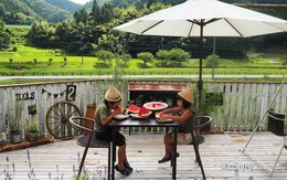 Ngôi nhà nhỏ và cuộc sống đơn sơ của gia đình Nhật Bản ở làng quê khiến bao người ngưỡng mộ