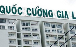 Chưa bàn giao căn hộ trong quý 2, Quốc Cường Gia Lai (QCG) báo lãi sụt giảm 98%