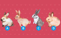 Chọn ngay con thỏ mình thích nhất để khám phá kiểu tình yêu mà mình vẫn hằng ước ao