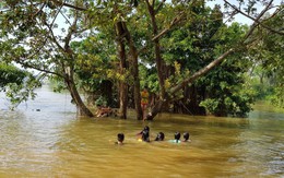 Trẻ vùng lụt Hà Nội hồn nhiên biến đường làng thành bãi tắm