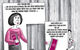 ‘Tìm tiền’ cho nữ đại gia, tòa, viện chỏi nhau