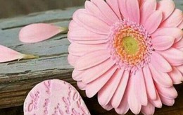 Chủ nhật của bạn (12/8): Kim Ngưu hào phóng với người thân