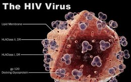 Câu chuyện từ bác sĩ: Nhiều trường hợp mắc HIV mà không xác định được nguyên nhân