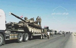 Quân tinh nhuệ Syria dồn binh chuẩn bị kết liễu thánh chiến tại Idlib, Hama