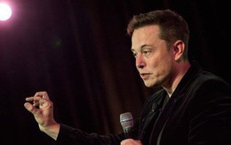 Cổ phiếu Tesla lao dốc sau bài phỏng vấn đầy nước mắt của Elon Musk với New York Times